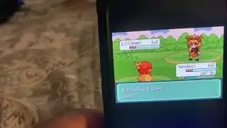 Moemon emerald star is a hack a Pok&eacute;mon emerald ￼