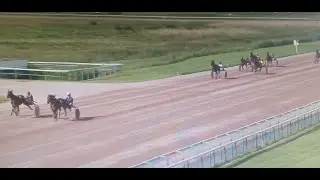 2023- 24  mai - LOVE D'AMOUR qualifi&eacute; en 1'17 (2i&egrave;me meilleur chrono parmi les 107 chevaux de 2 ans)