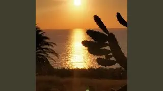 THE SUN WILL RISE AGAIN