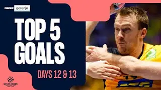 Top 5 Goals | Days 12 & 13 | Men's EHF EURO 2026