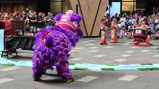 #龙狮节 Dong Sheng Lion Dance (múa lân 舞獅) by 東勝 @ Lalaport, Malaysia.  20260201
