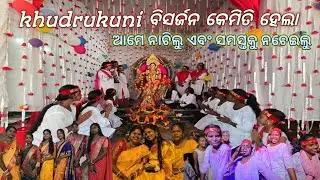 ବିସର୍ଜନ ଦିନ କଣ କଣ ହୁଏ  !! ROIDA VILLAGE  !! VILLAGE VLOG  !! DAILY_LIFESTYLE44 !!ODIA VLOG 