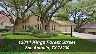 12814 KINGS FOREST STREET