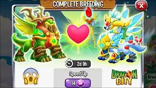 Dragon City: High Druid Dragon vs High White Queen Dragon [EXCLUSIVE BREEDING] 😱