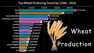 Top Wheat producing countries (1960 - 2019) / Wheat production