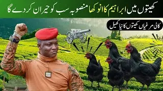 Ibrahim&rsquo;s Unique Farming Plan Will Shock Everyone | Revolutionary Agriculture Idea