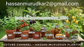 🌿 Organic Kitchen Garden 🌱 | 🏡 Home Farming 🚜 | 🌿 Medicinal Plants 🌼