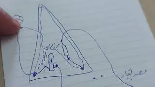 الدائرة الكهربائية لمكواة البخار