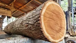 Cutting teak logs into boards 