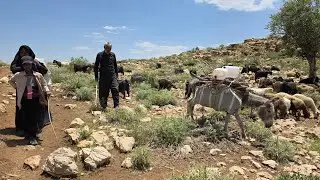 In the heart of nature with nomads: family travel, sheep migration and traditional food