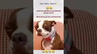 Ye dukh kb khtm hoga 😂 #shorts #funny #comedy #funnymemes #dog #trending #funnydogs
