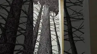 Finishing of Pine Tree Ink Drawing in Perspective view