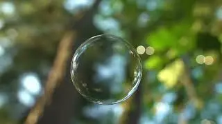 Beachfront B Roll Floating Soap Bubble Free to Use HD Stock Video Footage