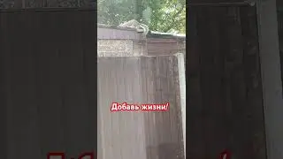 Живи настоящим! #мудрость #отношения #личность