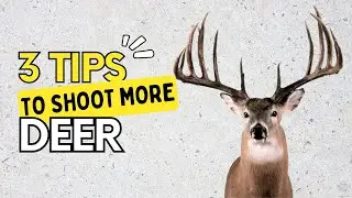 How to be a better deer hunter. 3 Tips to Shoot More Deer