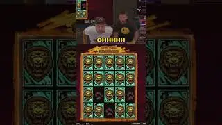 THE WINNINGS ON THE BORN WILD SLOT MACHINE ARE 🎲1,000,000$🎲  #casino #bigwin #slots #shorts #short
