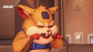 QP! ball!