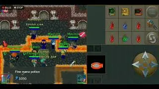 Tibiame w32 Guild Insomnia Biestig