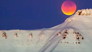 Climate Watch: Warmest Arctic winter on record