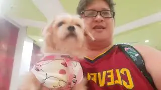 fur parent ako/ christmas 2024/ vlog 107 #furparent #furdad #dogslife