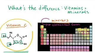 What's the Difference: Vitamins and Minerals