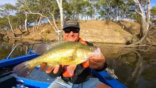 EXPLORING AUSTRALIA'S PRISTINE RIVERS for NATIVE FISH in THICK TIMBER!