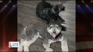 Life Buddy Story - 