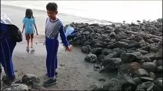 Bersih pantai Kenjeran Batu-batu. Sabtu, 10 November 2024