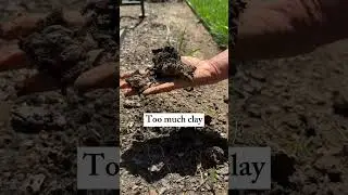 For the best soil combine 1/3 topsoil with 1/3 compost and 1/3 sand and grow ANYTHING #garden #soil