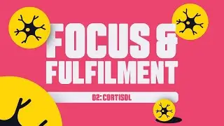 Future Leaders Tamworth - The Neurochemistry of Focus & Fulfilment Chapter 2