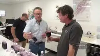 Angove Micro Winery