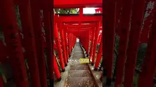 TOKYO's RED TORI GATES