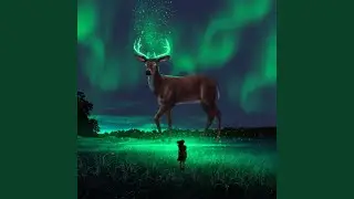 Mystical Night