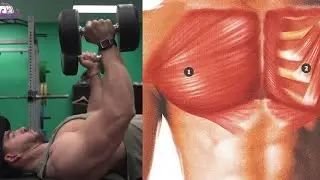 Chest Workout, Ejercicios para Tener el Pecho Grande y Maracado