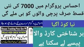 ehsas program 7000 mein apply krny ka tariqa| ehsas program mn online balance check karne ka tarika
