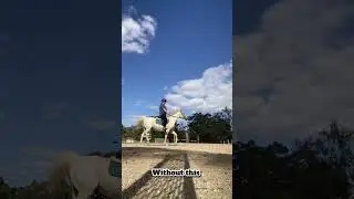 You can&rsquo;t have good jumping without flat work #horse #horsetraining