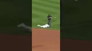 Ump Gets NAILED&hellip; Pops Back Up 😳