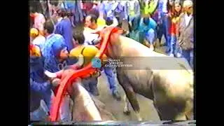 Carrese Portocannone 1993