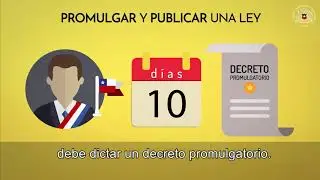 &iquest;Qu&eacute; significa promulgar y publicar una ley?