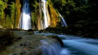 Nature and music improve human health and prevent disease.