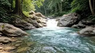 Relaxing River Water Sounds 🌊 Flowing Stream for Deep Sleep, Meditation & Stress Relief