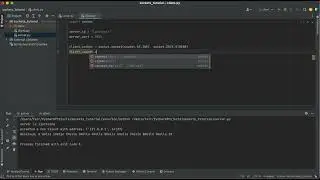 Python TCP Socket tutorial: Server and Client