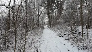Im Schnee, der Natur auf der Spur