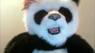 Google Panda Recovery  @ Linkbuildr