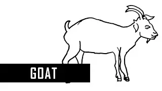 Goat Line Art