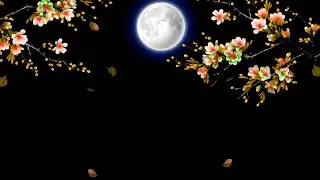 Falling Tree Leaves Effect Black Screen Video With Flower Tree Effect Black Screen Template 