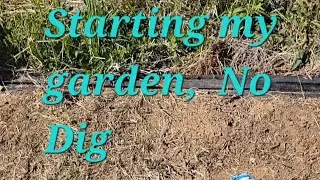 The start of my no dig spring garden.