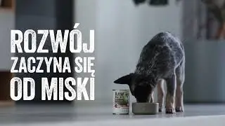 ZDROWIE ZACZYNA SIĘ OD MISKI | RAW PALEO