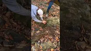 Virginia Gold Prospecting #goldprospecting #goldmining #gold #goldpanning #goldnugget #treasure