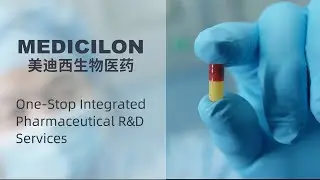 Medicilon can provide one-stop pharmacuetical preclinical cro services